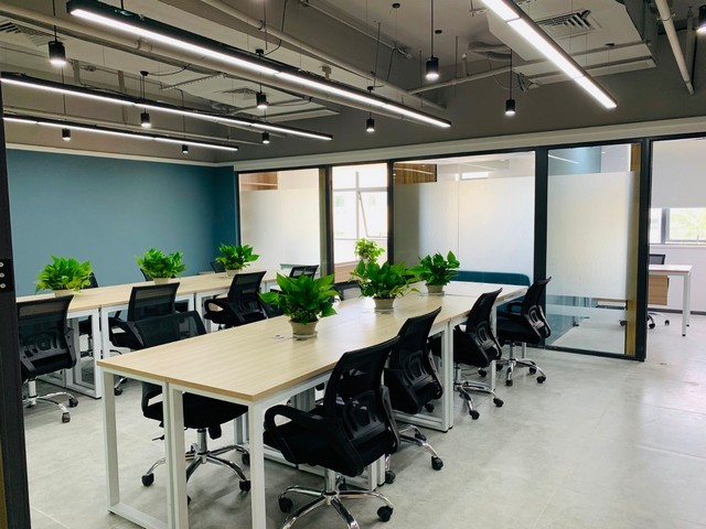 北京林业大学野生动植物保护考研英语要不要换专业